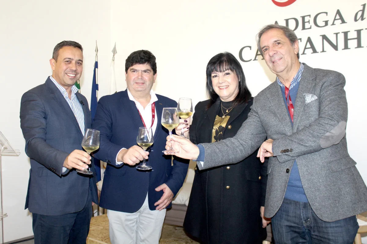 Adega Cooperativa T