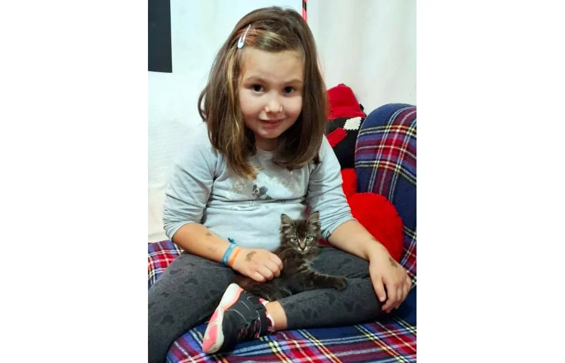 Alice E O Gato Net