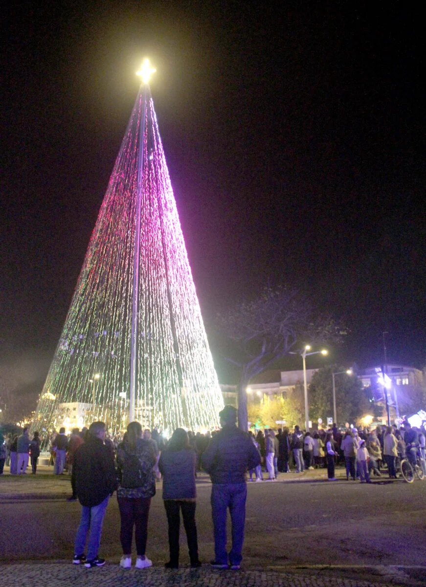Arvore De Natal Figueira Da Foz
