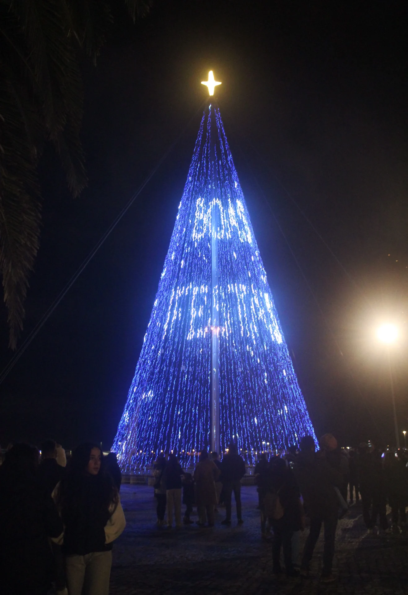 Arvore De Natal Figueire