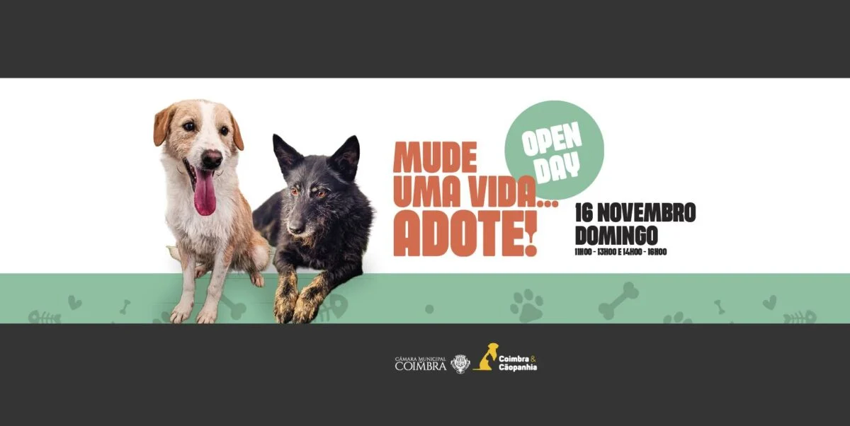 Canil Este Fim De Semana Adotar