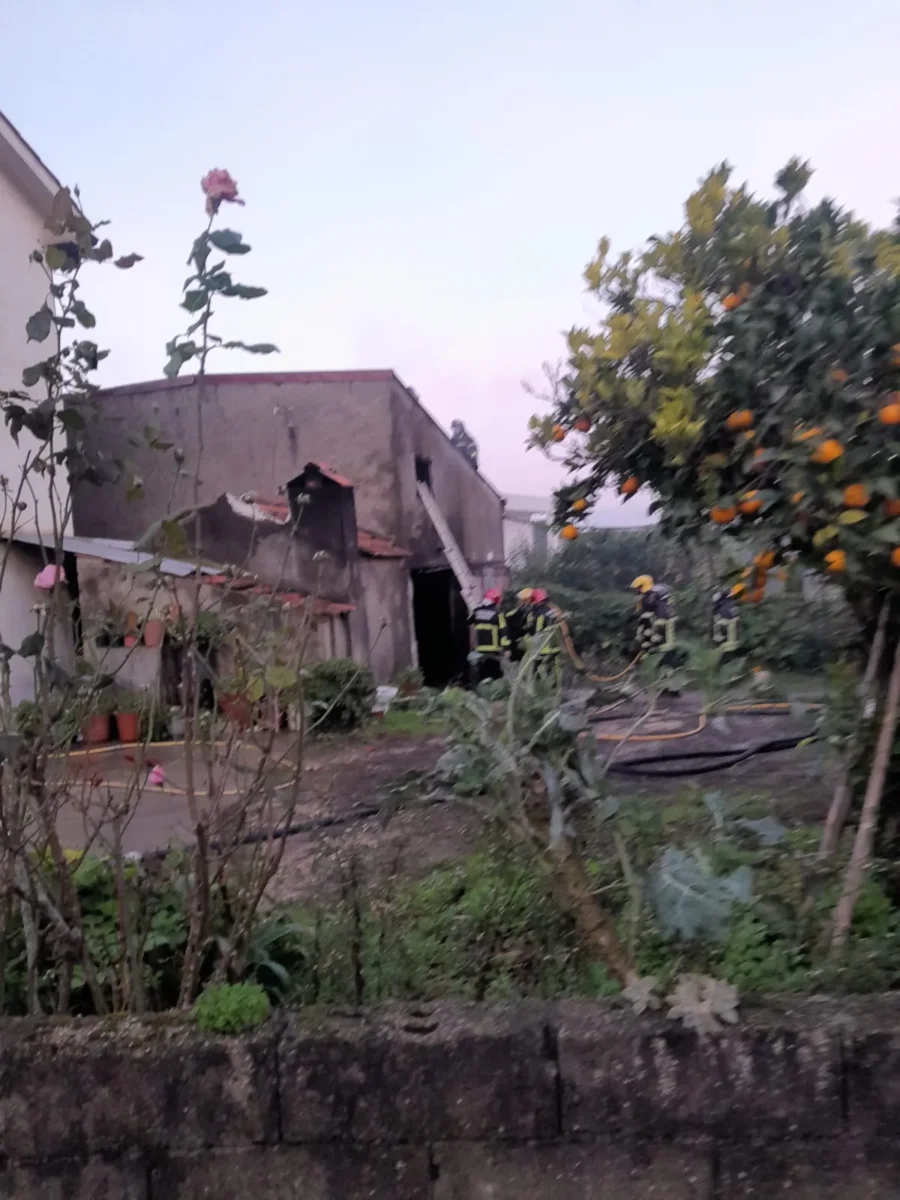 Incêndio Almalaguês