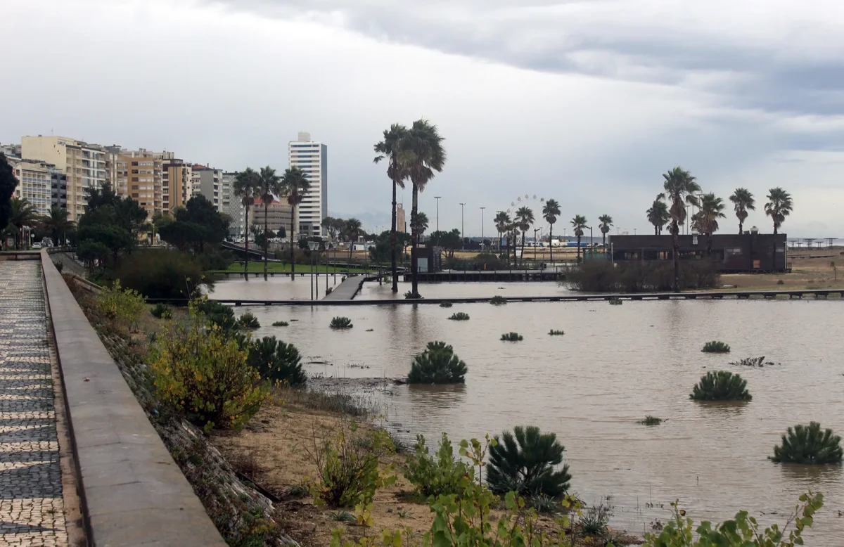 Oasis Figueira