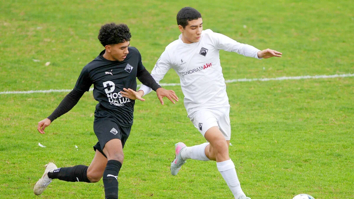 Academica 2 T