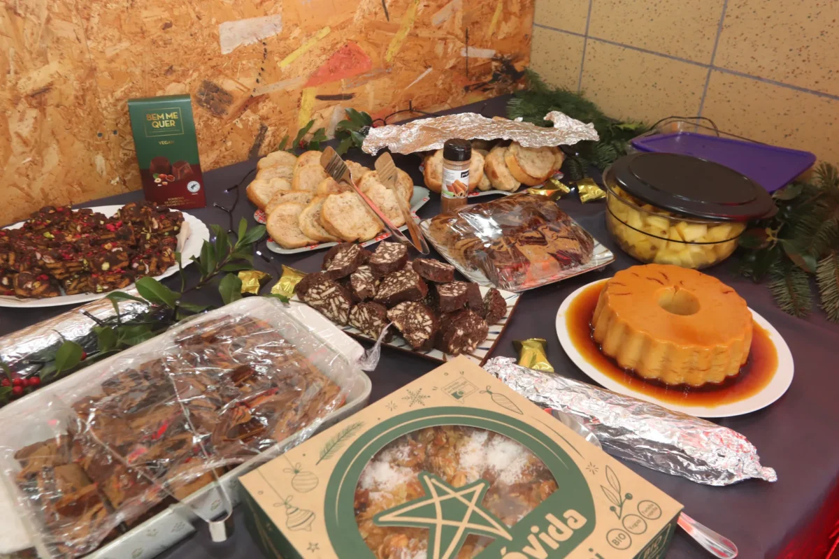 Coimbra Animal Save Ação De Natal Solidária 2