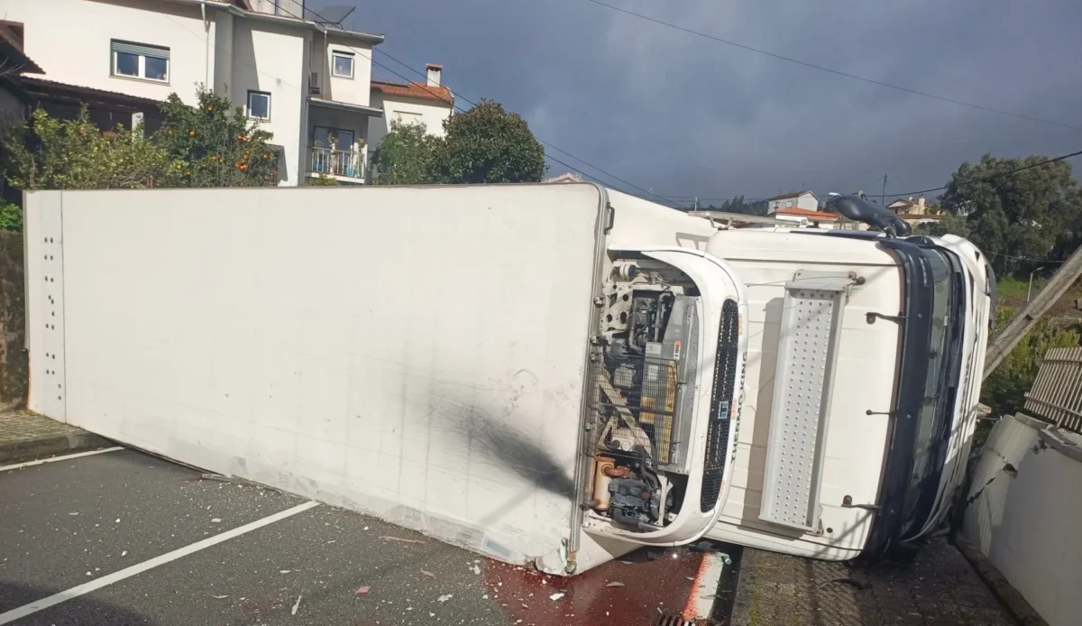Despiste Camião Sever De Vouga