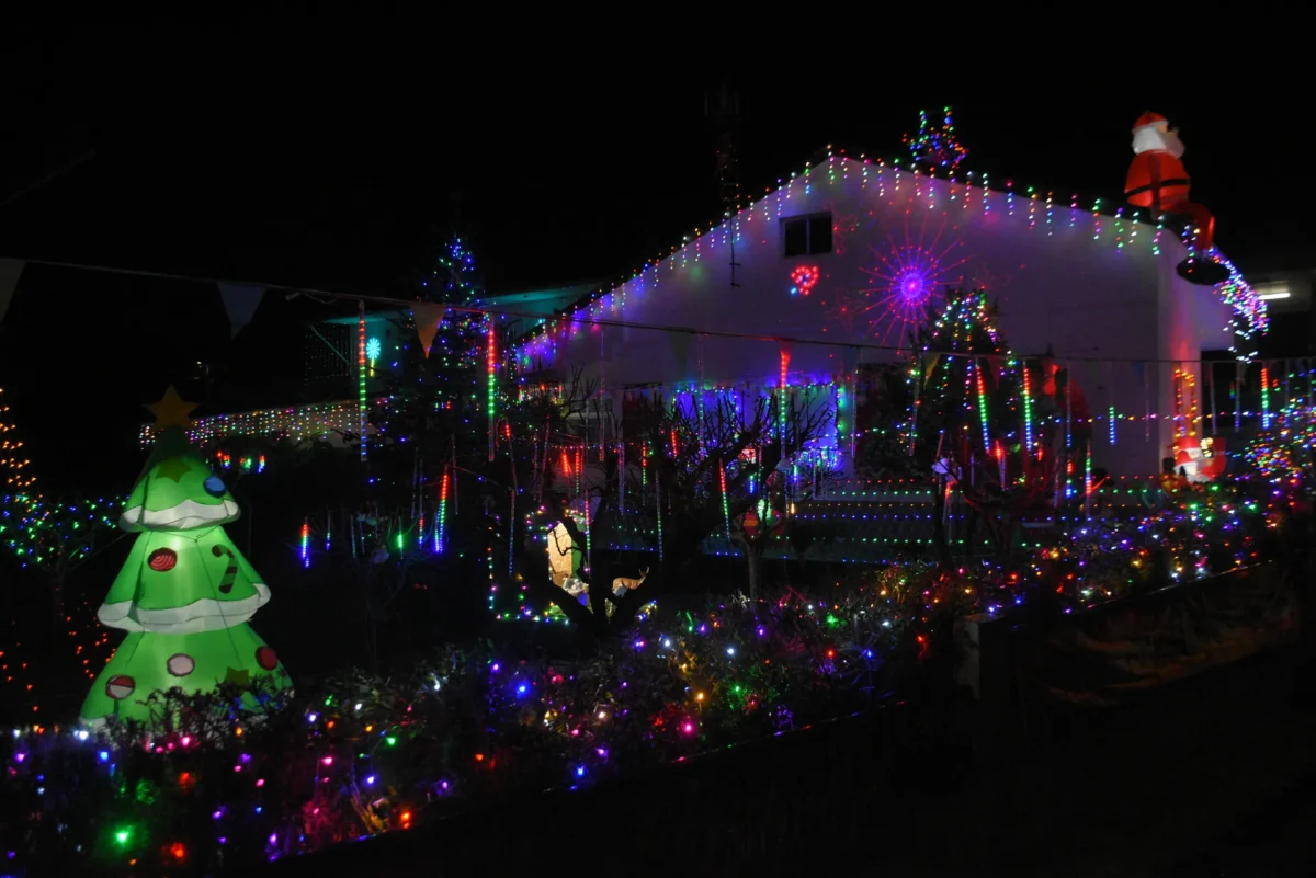 Granja Ulmeiro Casa Natal 8