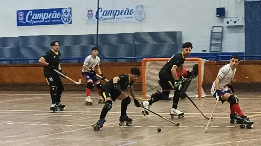 Hóquei Em Patins