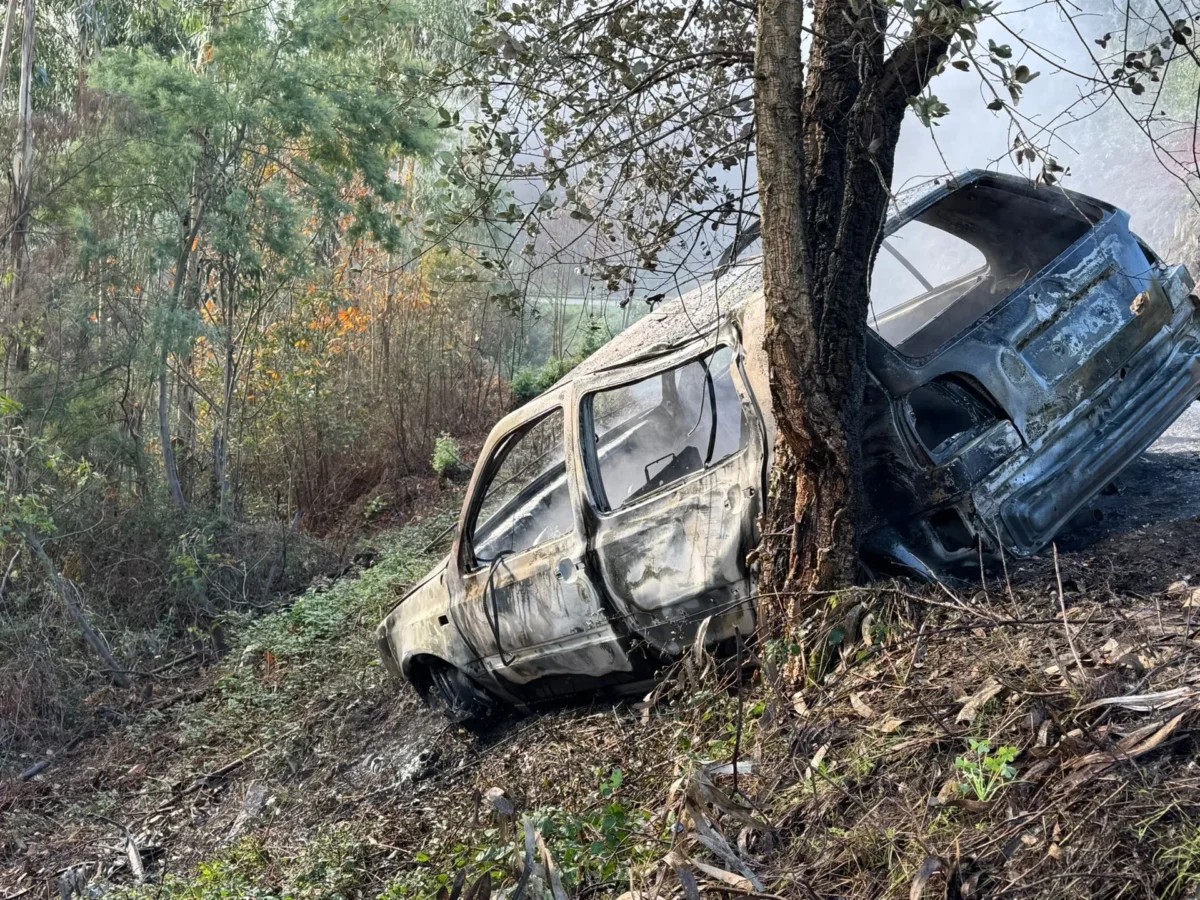 Incêndio Em Agrelo