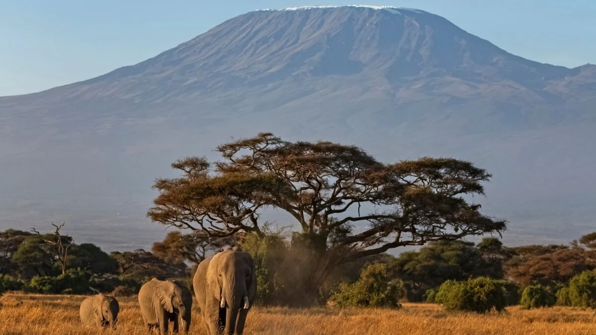 Kilimanjaro Sky News