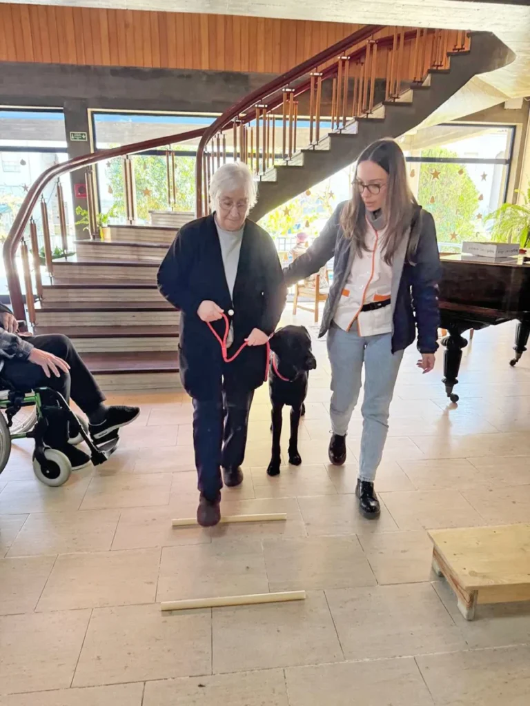 Misericórdia Arganil Projeto Realidade Virtual