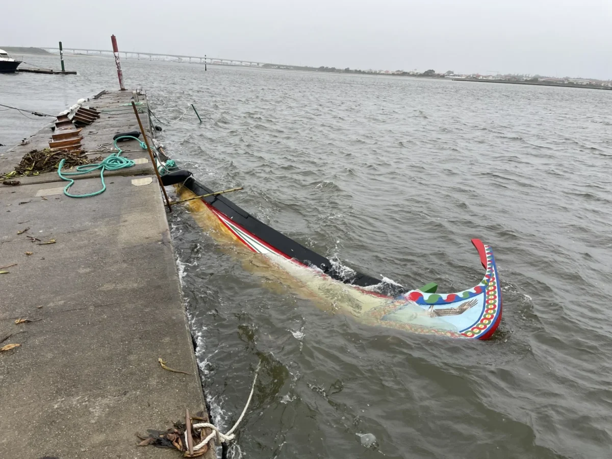 Moliceiro Afundou Em Aveiro