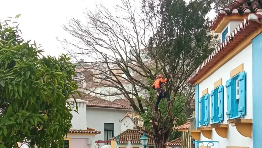 28012026 Portugal Dos Pequenitos Reposicao Estragos Tempestade 1 2