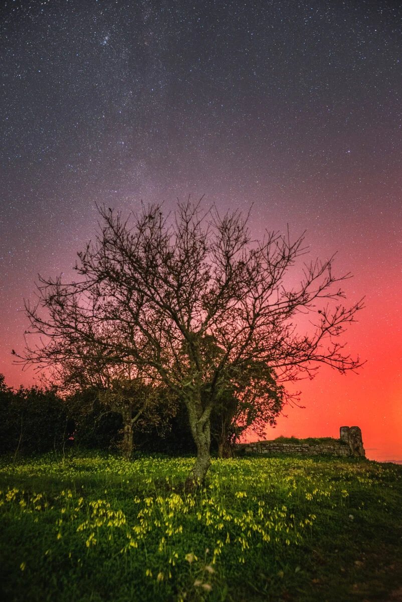 Aurora Boreal 2 Foto Marquesphotography T 1
