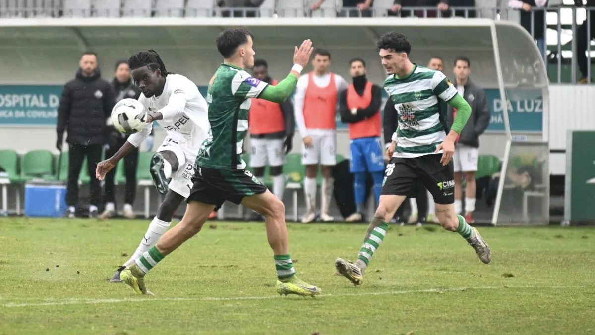 Covilhã Aac