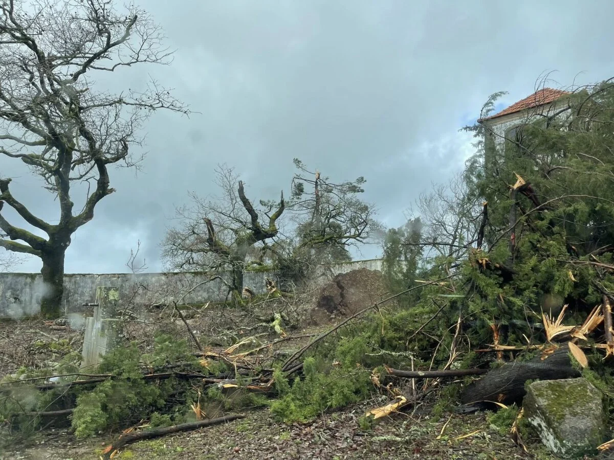 Destruição Em Figueiró Dos Vinhos Tatiana Carvalho