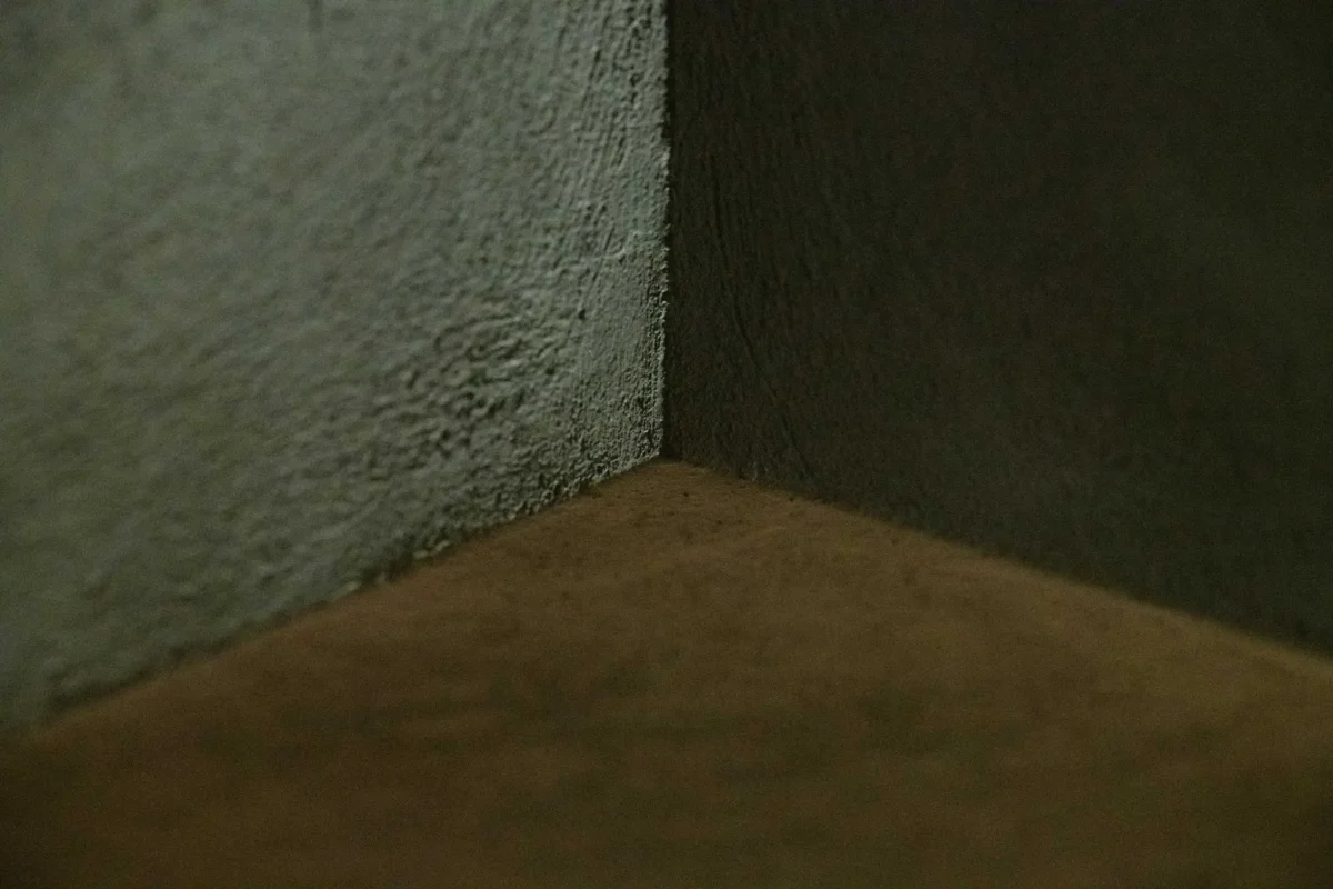 Exposição Luis Felipe Ortega