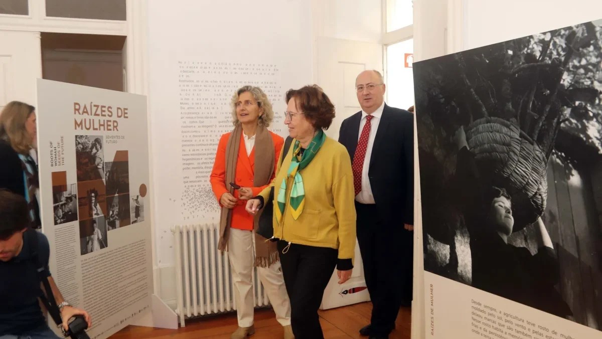 Exposição Raízes De Mulher Sementes De Futuro Fig 9