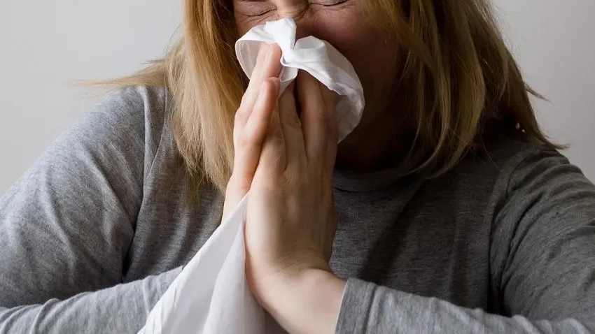Gripe LenÇo