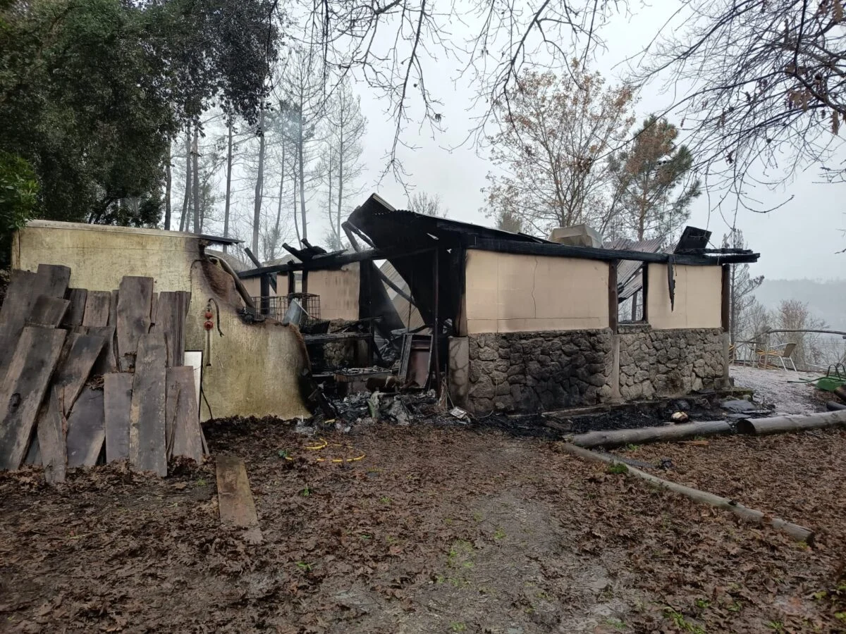 Incendio Povoa De Midões