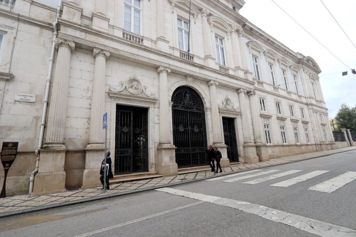 P15 Tribunal T