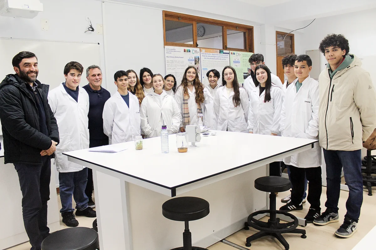P2 Turma Toda