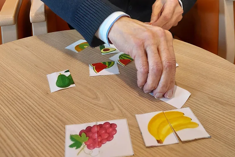 Emeis Puzzle