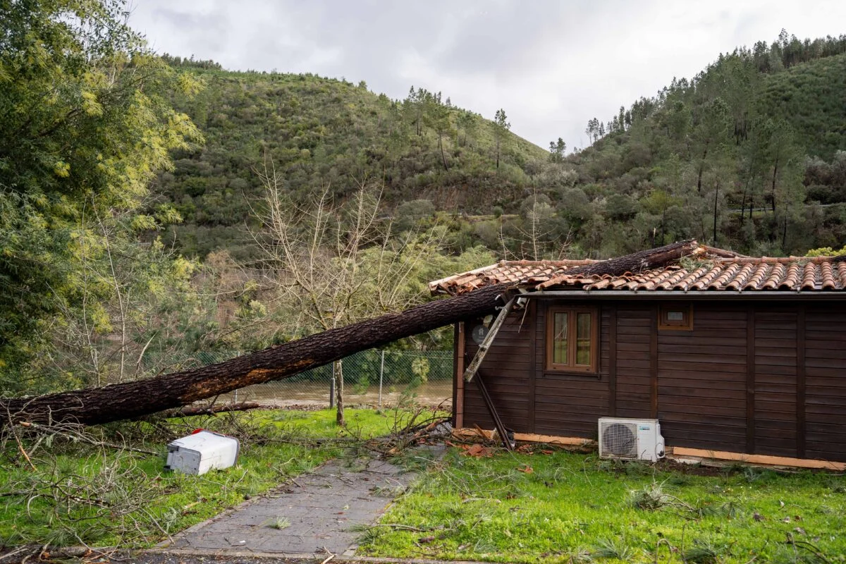 P3 Pampilhosa Reconstruções