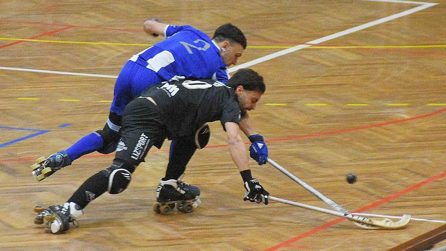 Patins 1