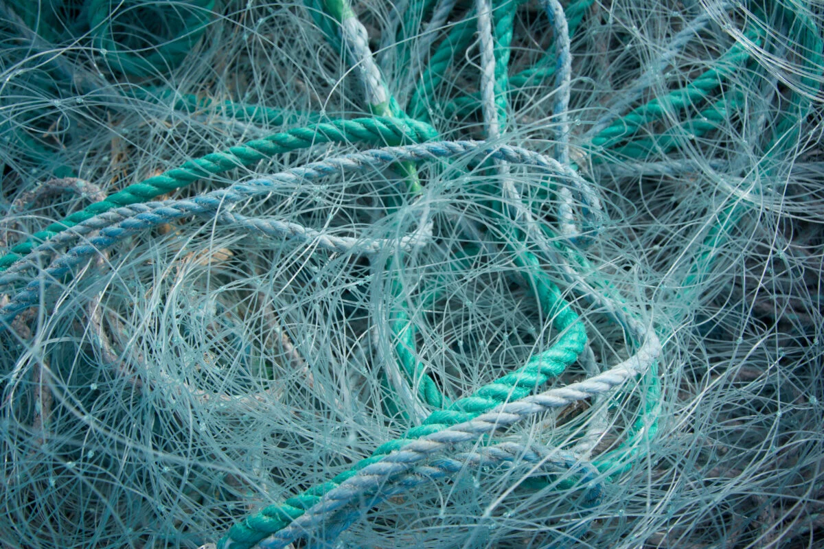 Redes De Pesca