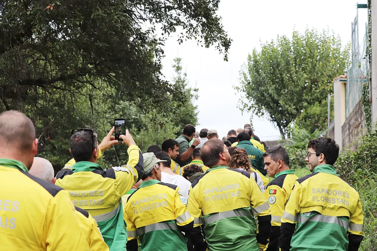 Sapadores Florestais Na Mata Da Agrária