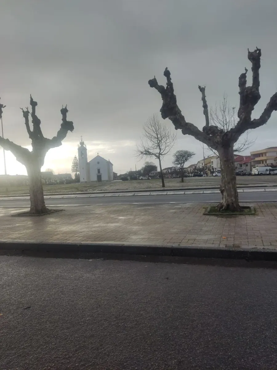 Assaltos Tocha