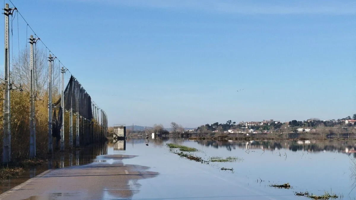 Centro Nautico Montemor