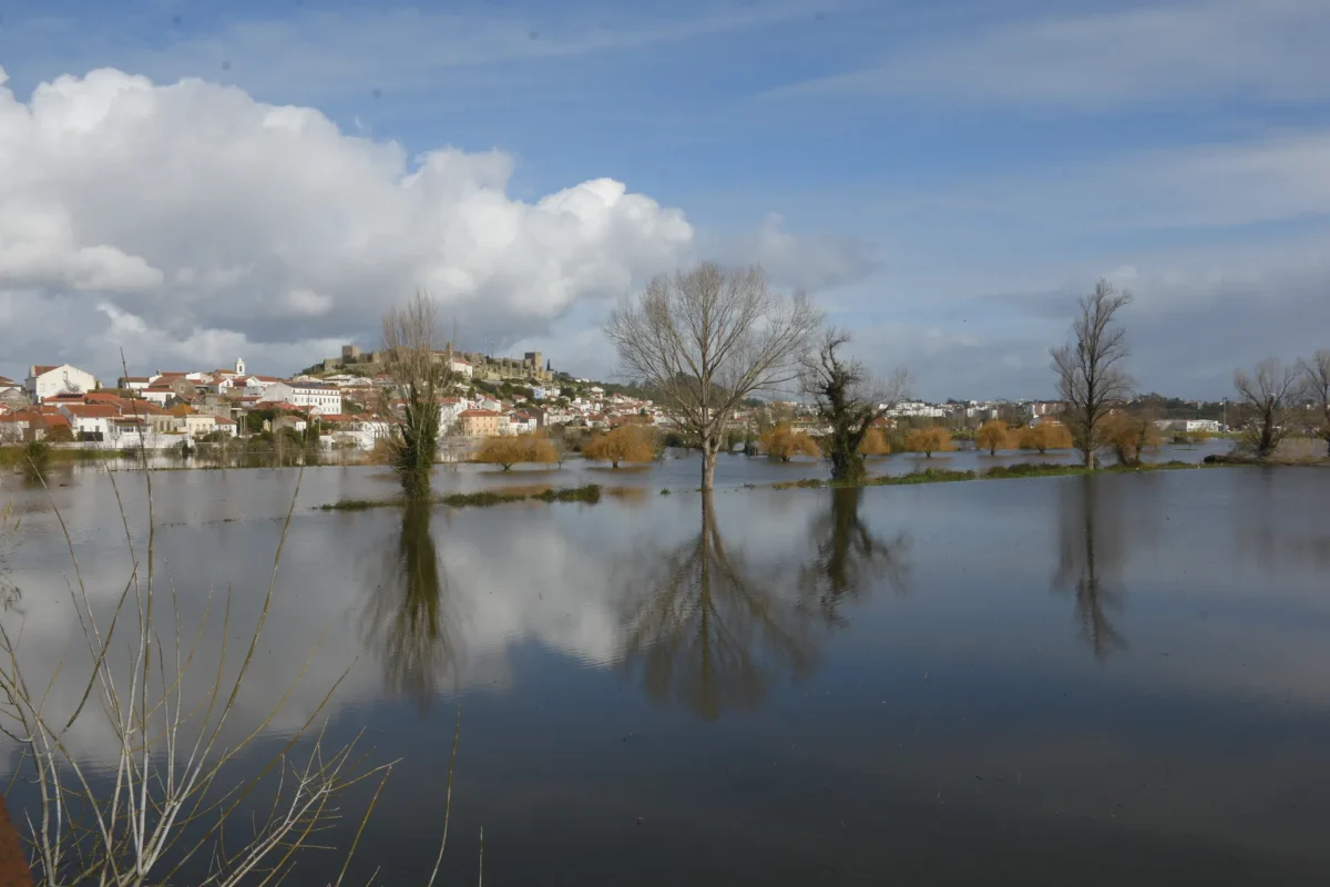 Cheias Montemor 7