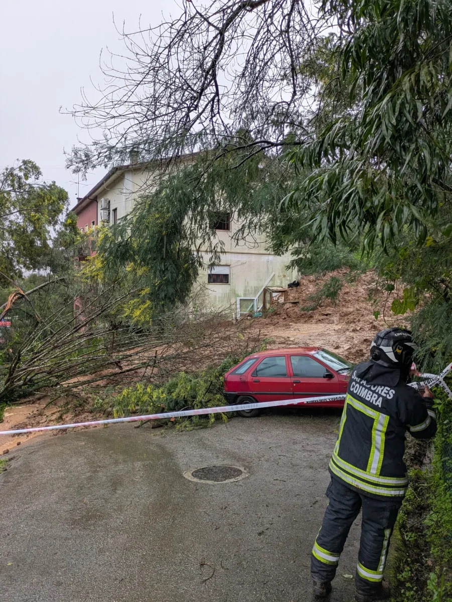 Derrocada Quinta Da Nora 5
