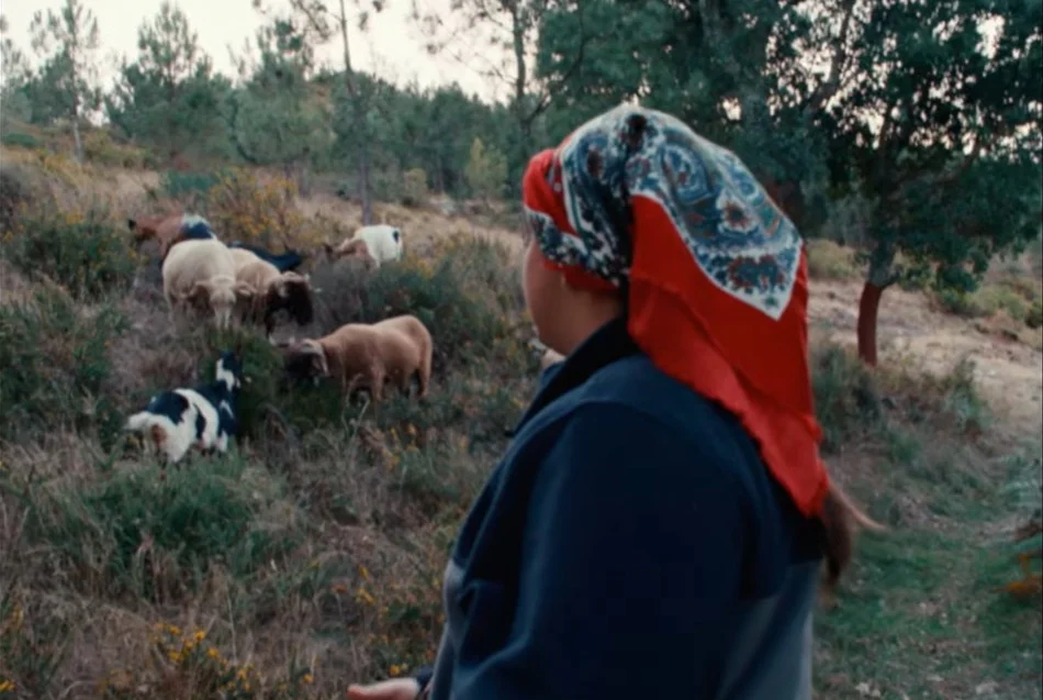 Documentário Entre Aldeias