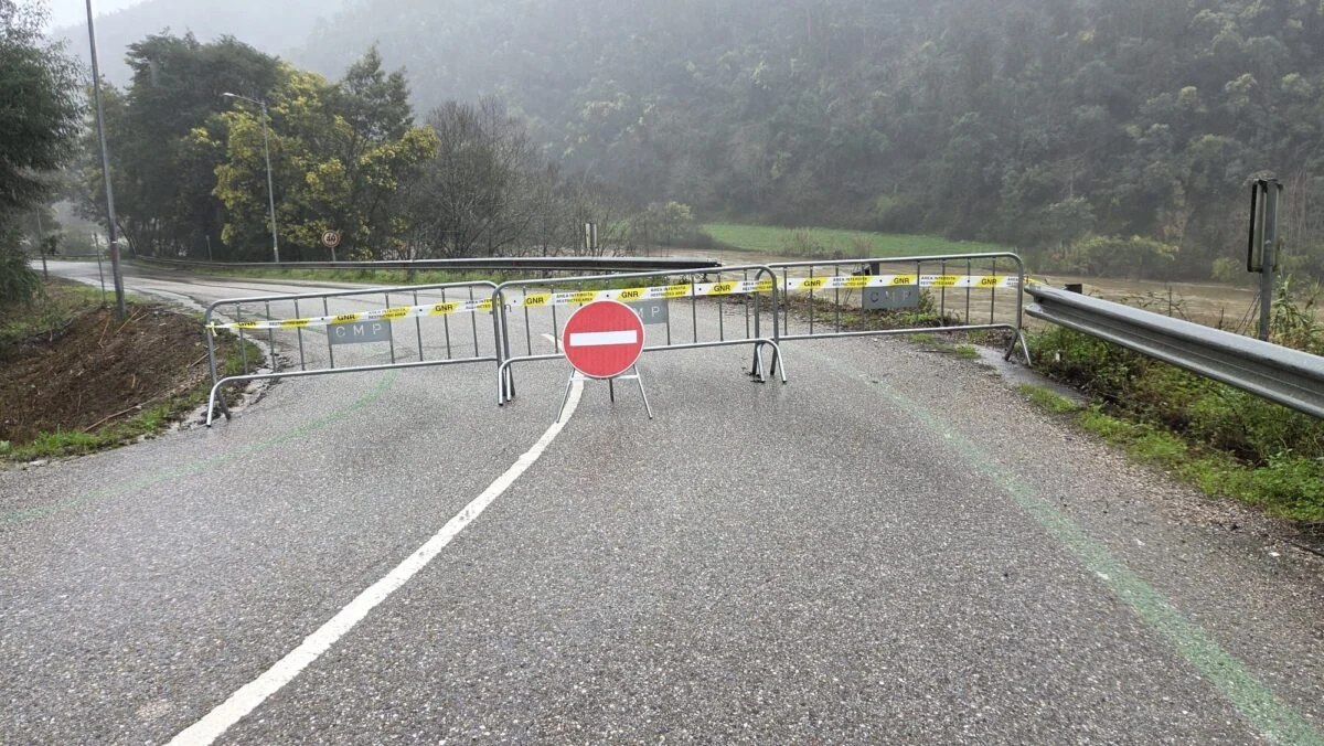 Estrada Penacova Município