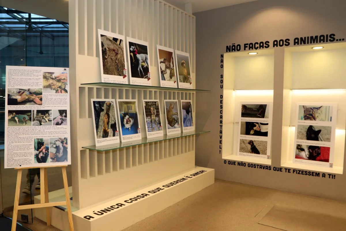 Exposição Sobre Maus Tratos A Animais 4