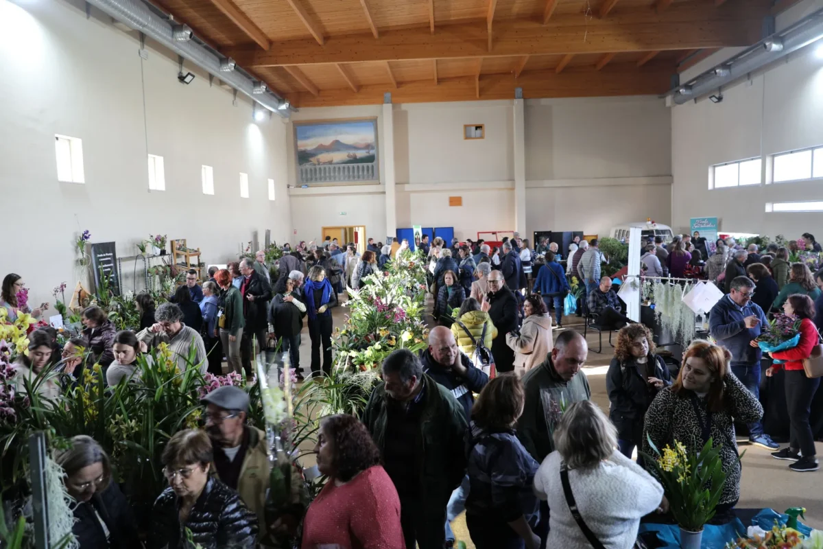 Mostra Orquídeas Cantanhede 2