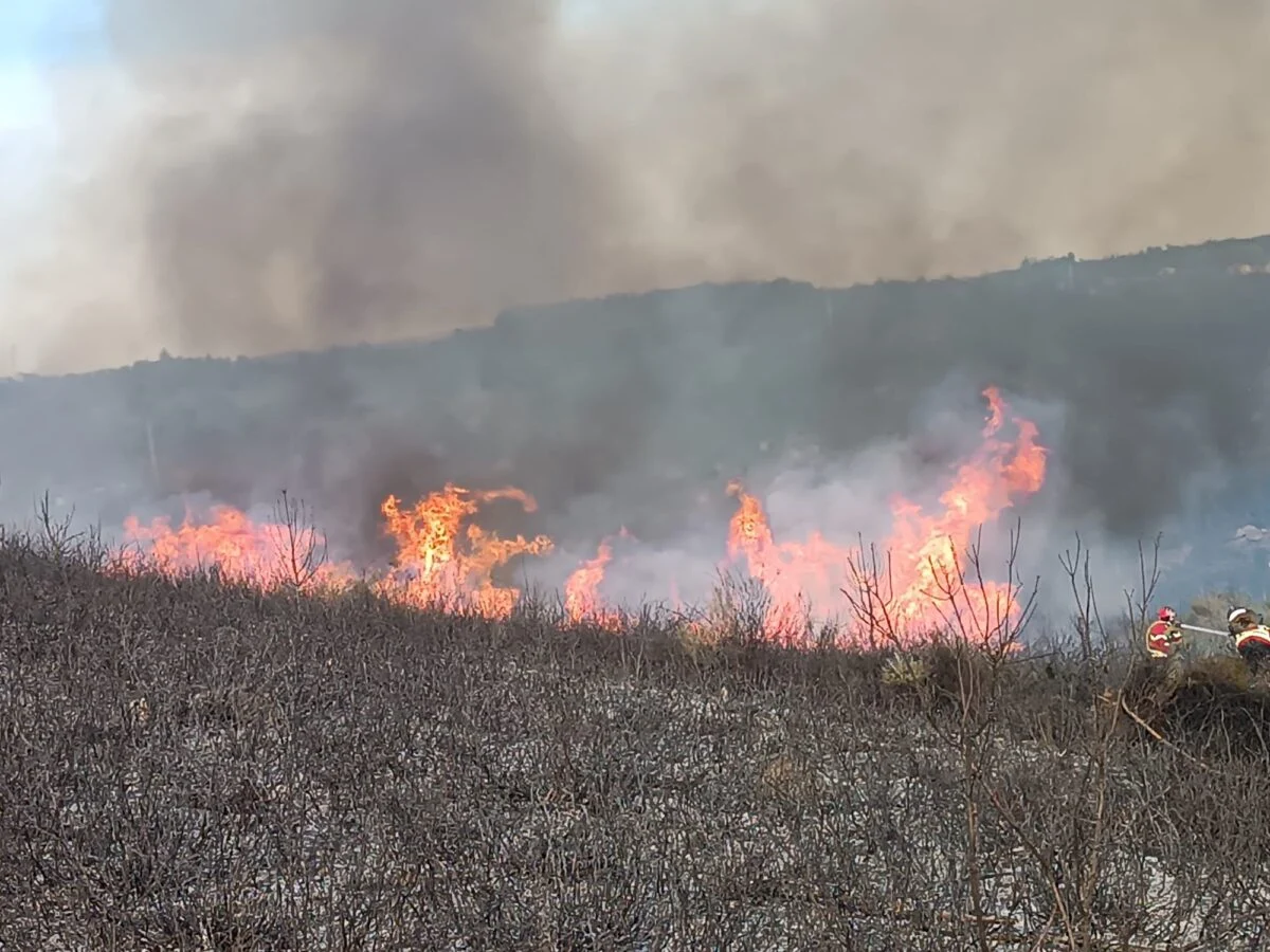 P16 Incendio Seixo Da Beira
