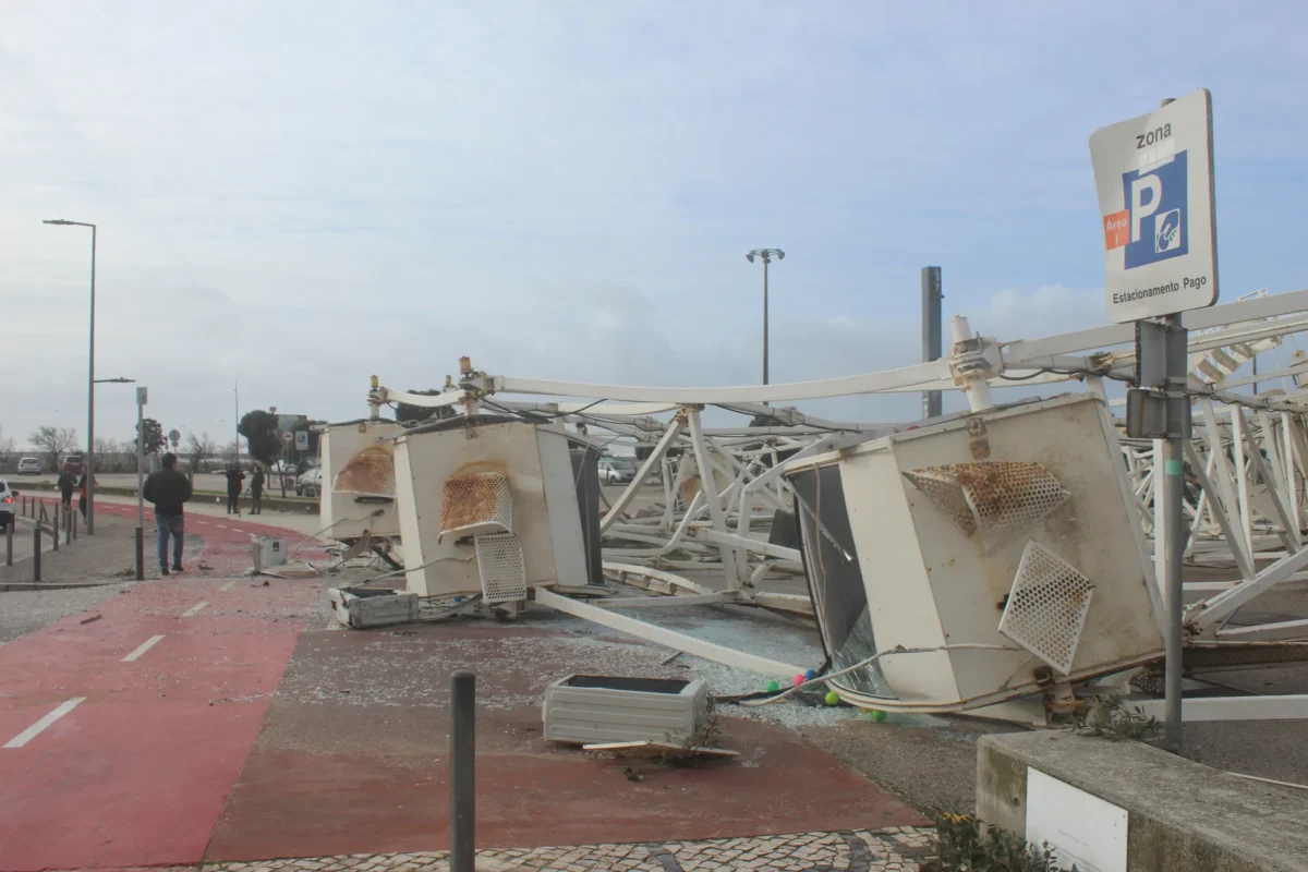 Roda Caída Figueira Da Foz