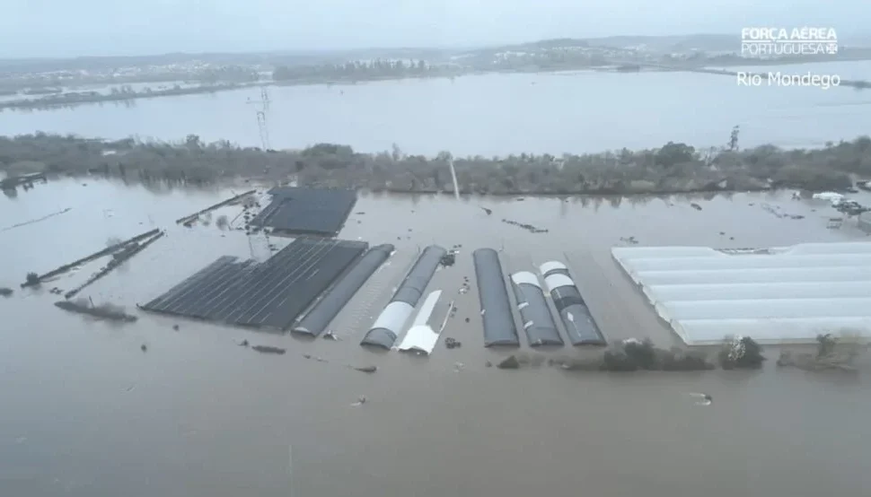 Viveiros Submersos