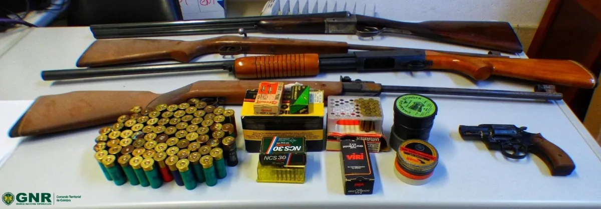 Apreensao Armas