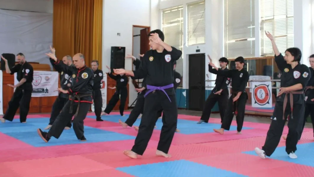 Artes Marciais Maiorca Net