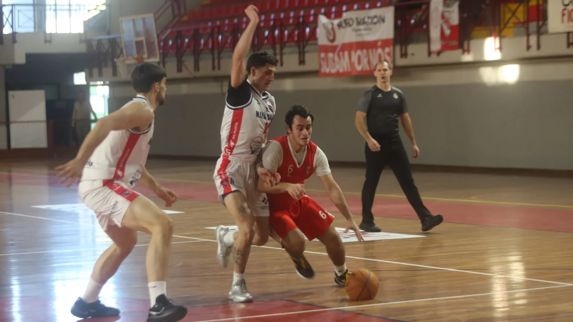 Basquetebol Proliga Antvs