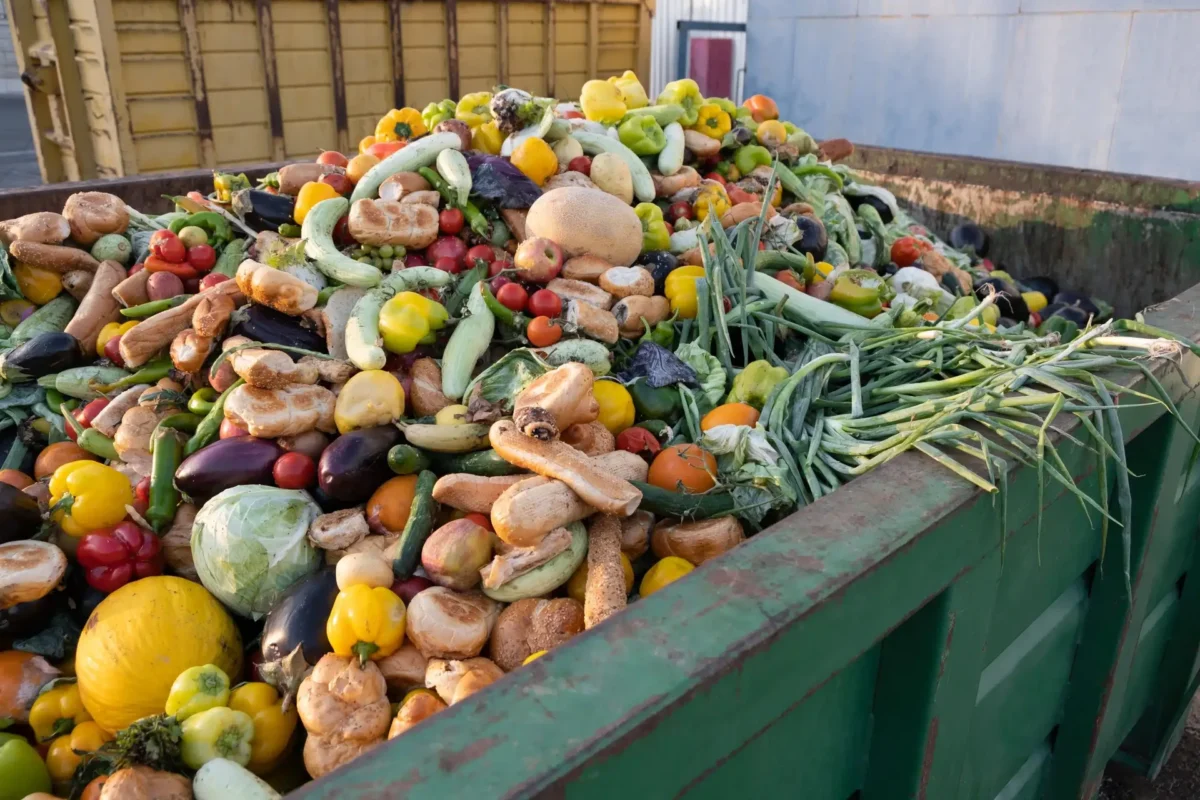 Desperdicio Industria Alimentar