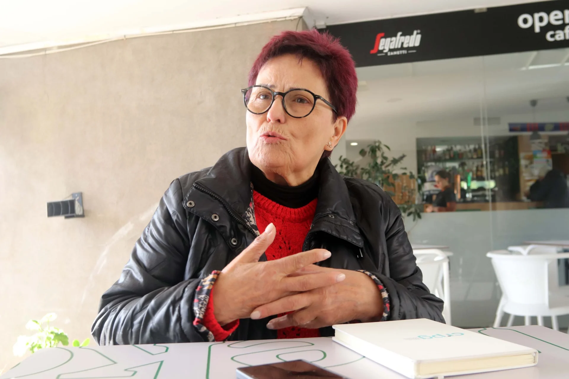 Entrevista Com Natália Amaral Da Lpcc