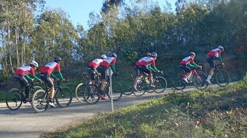 Estágio Anadia S19 Net