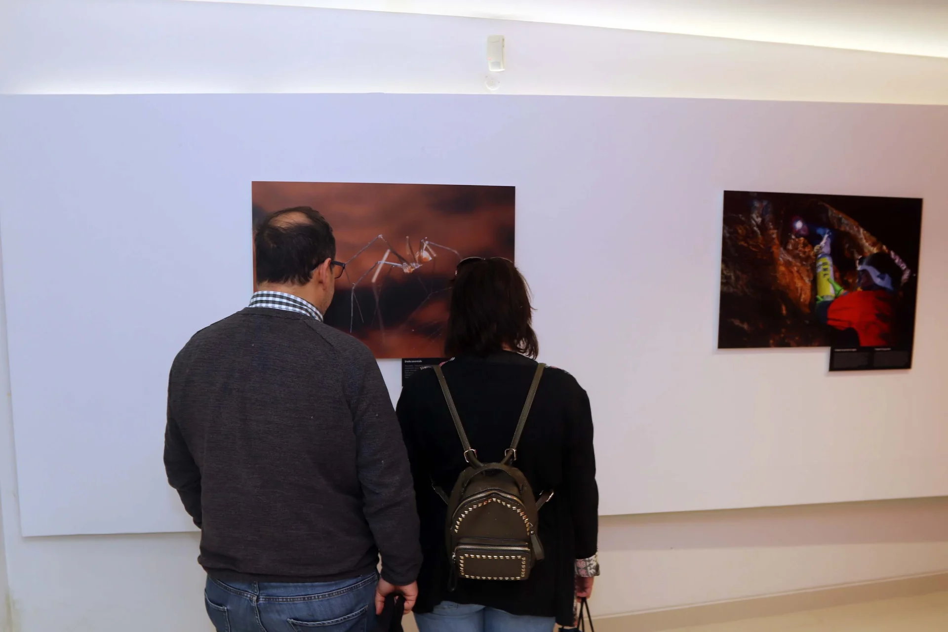 Exposição Biodiversidade Carvenicola