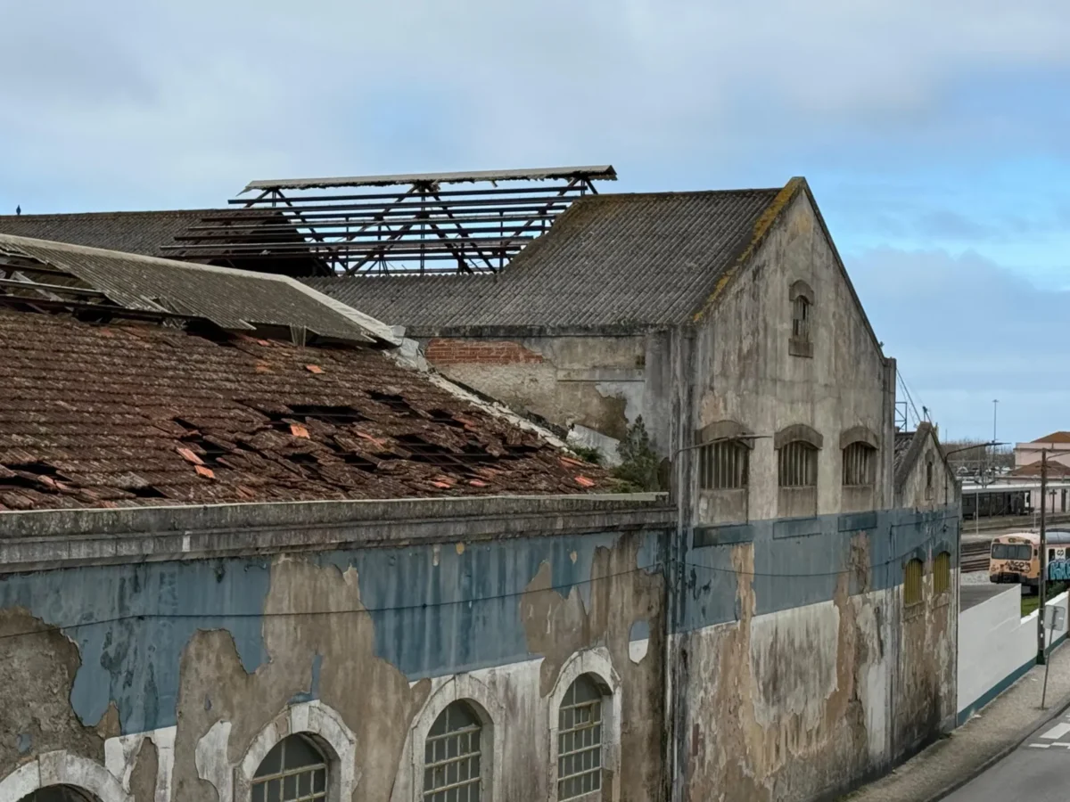 Figueira